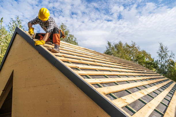 Best Roof Gutter Cleaning  in Bort, GA