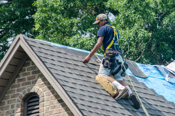 Best New Roof Installation  in Bort, GA